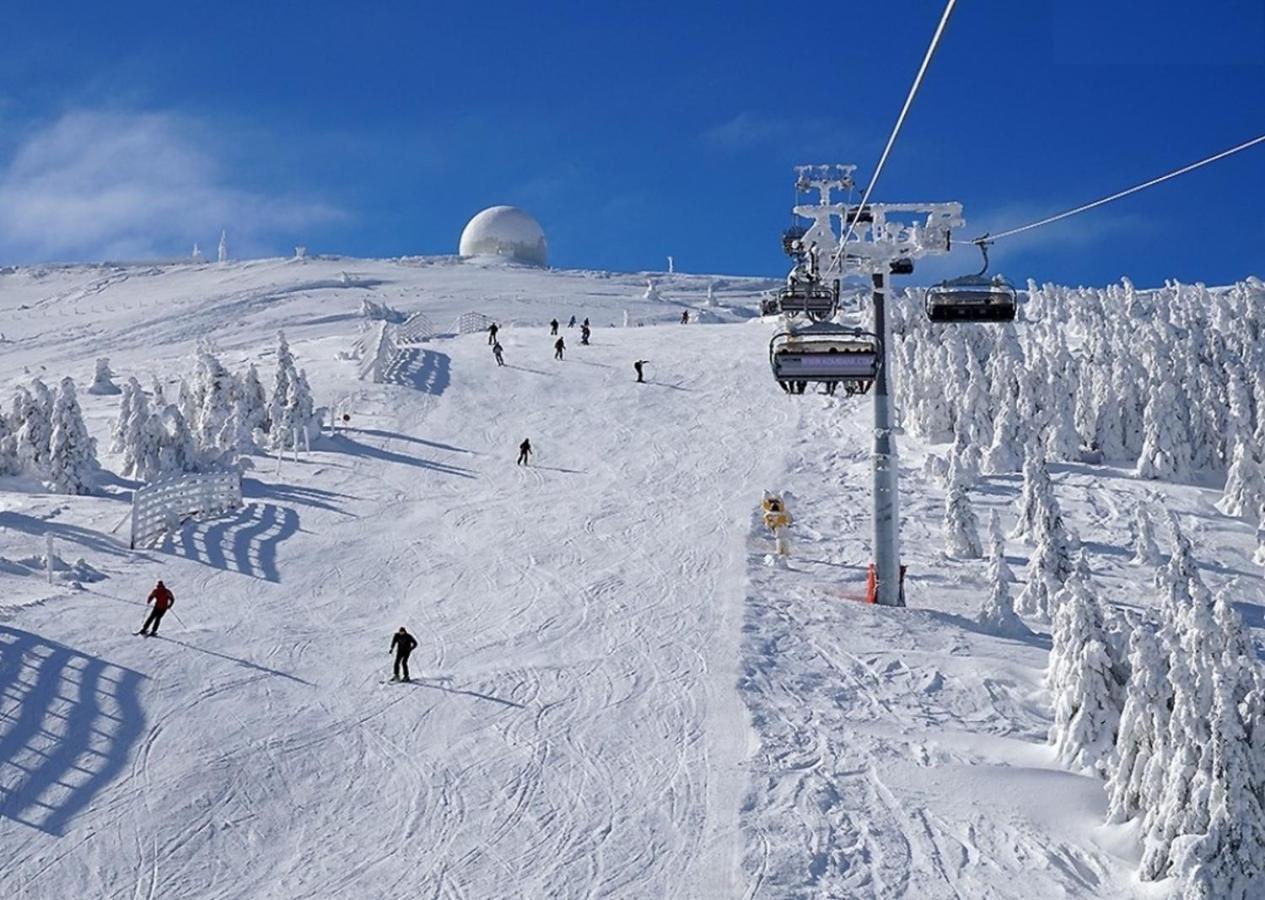 Hotel Olga Dedijer Kopaonik Extérieur photo