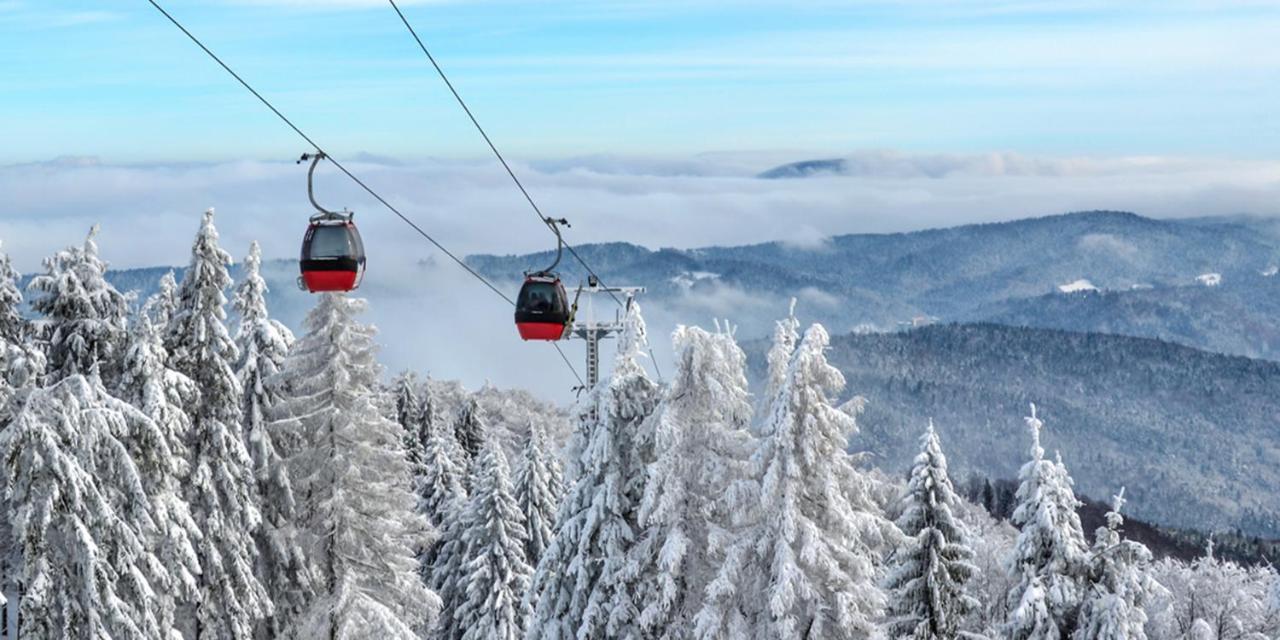 Hotel Olga Dedijer Kopaonik Extérieur photo